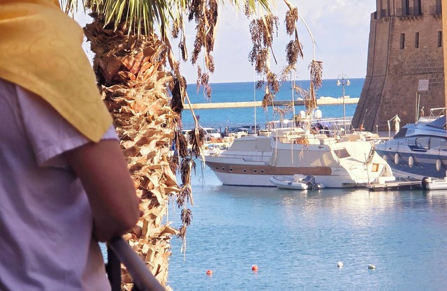 Hotel Cala Marina