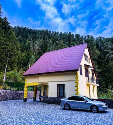 Hotel forest echo
