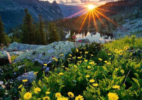 Hotel FreeRaid on 605 km trassy M54