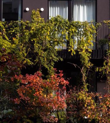 Hotel Indigo Vienna - Naschmarkt by IHG