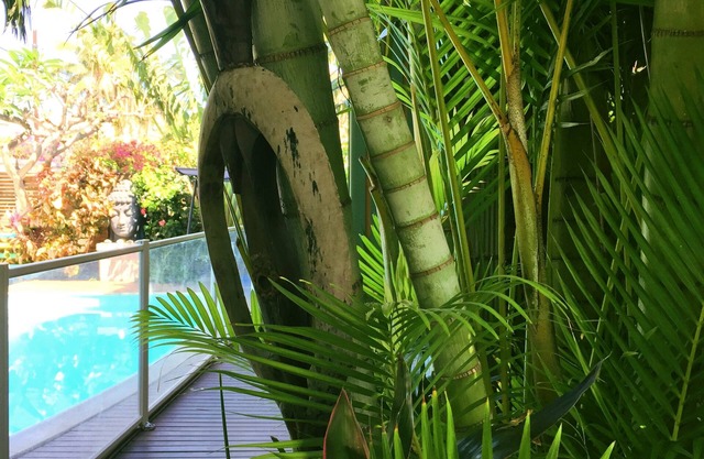 Hotel les Bougainvilliers