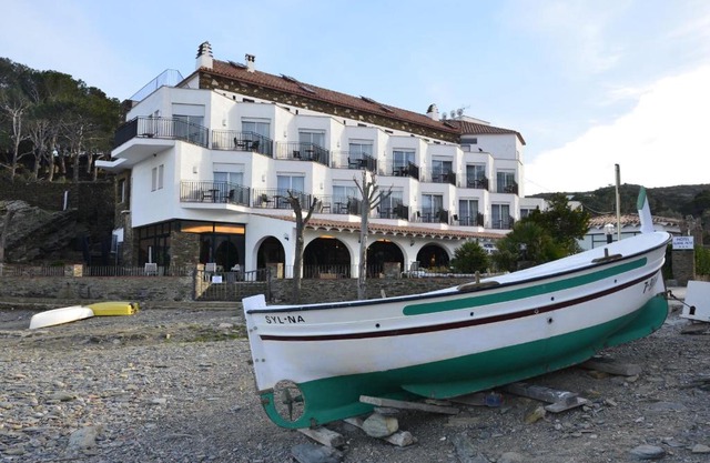 Hotel Llane Petit