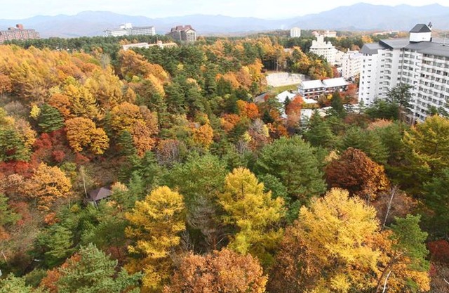Hotel New Koyo