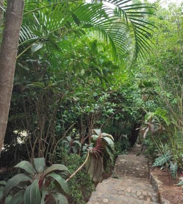 hotel san rafael