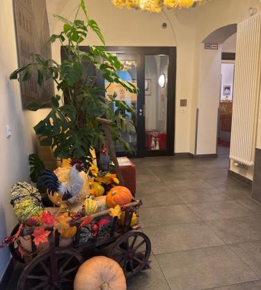Hotel Schwibbogen Altstadt & Appartements