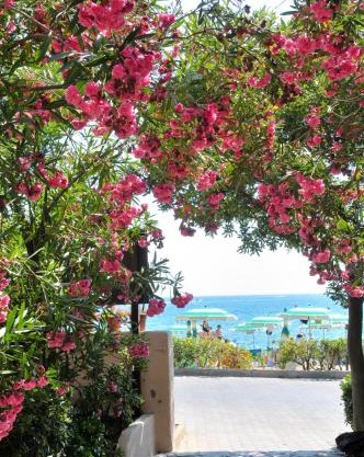 Hotel Villa Rodriguez