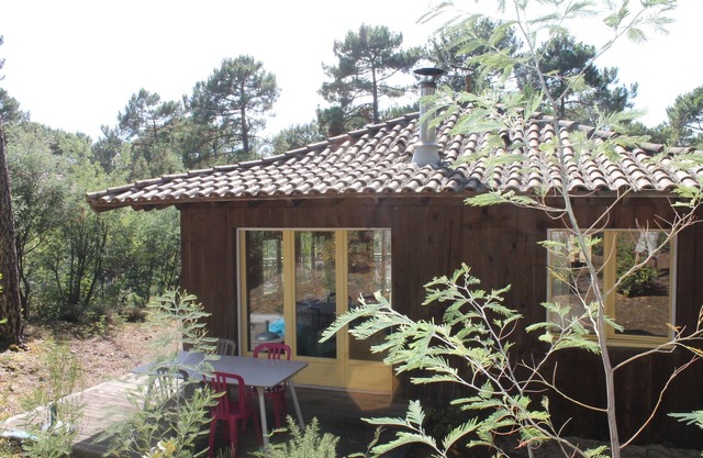 House between lake and ocean, in the pines.