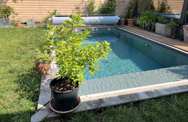House Center Bordeaux | Private Heated Pool & Garden