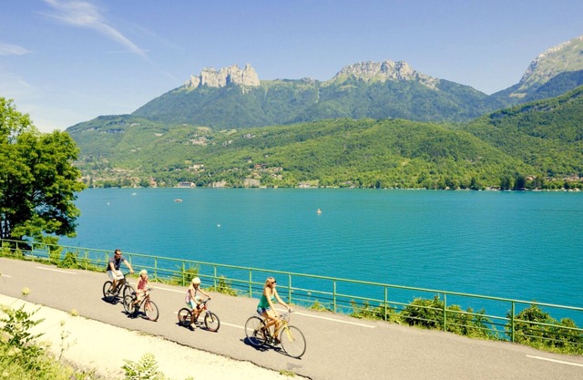 House full of character with private heated pool, park, Annecy lake view