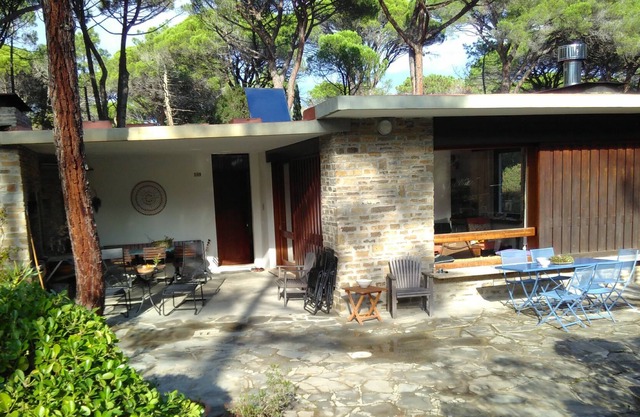 House by the sea in a light pine forest