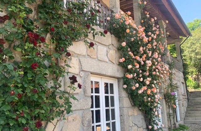 House of the three boys