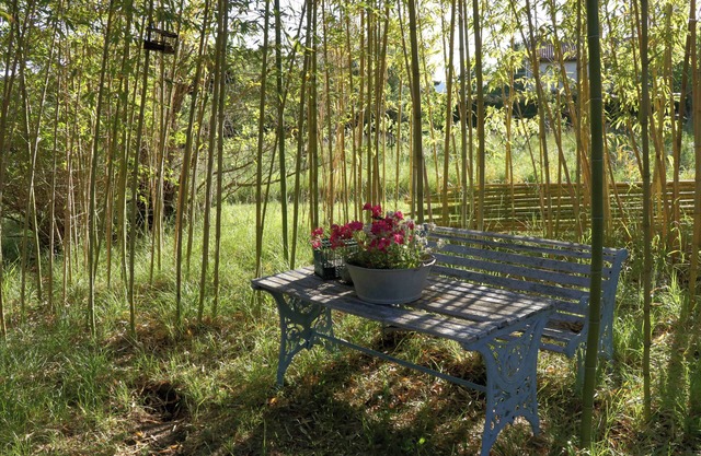 House on a 2000 m2 plot in a quiet natural setting 5 minutes from the village.