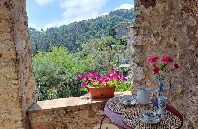 House on hillside with garden. Relaxation near Lucca and the sea. Pets allowed