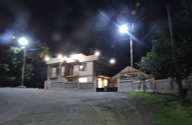 house sets near the botanical garden