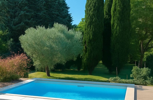 House with swimming pool in the heart of Provence near Isle sur Sorgue