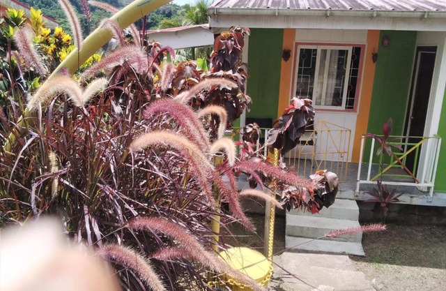 Ian Creole Garaden Cottages