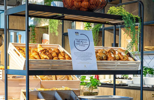 ibis Lyon Meyzieu