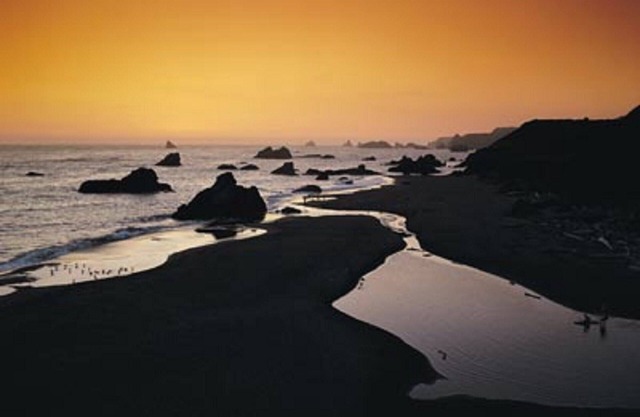 Ideal Northwest beach vacation!