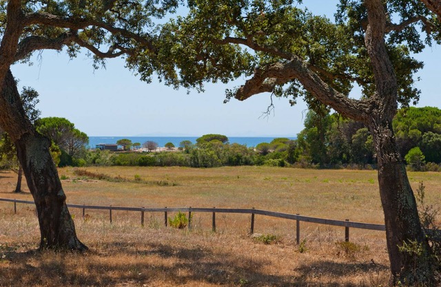 Ideal villa for nature and beach lovers, 200m from the magnificent Palombaggia!