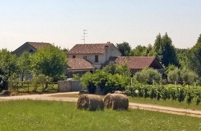 Il giuggiolo