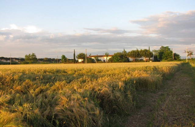 Il Granaio, Grosseto, apartment Fienile