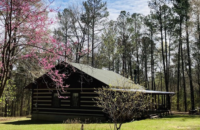 Immaculate cabin bordering national forest, close to Augusta, GA - -Masters