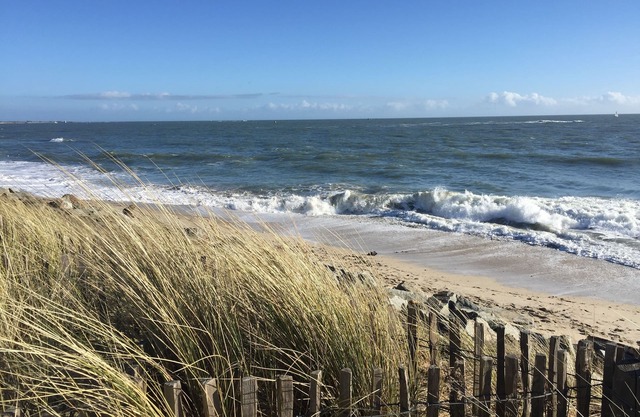 Immediate proximity to Kerguelen park and a superb white sand beach