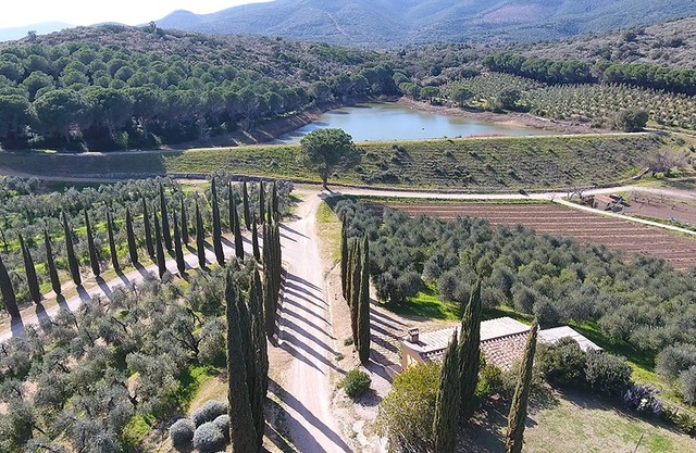 In the countryside in Castiglione della Pescaia