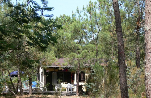 in the naturist area 'Euronat', a nudist village on the Atlantic, with sand dunes, forest
