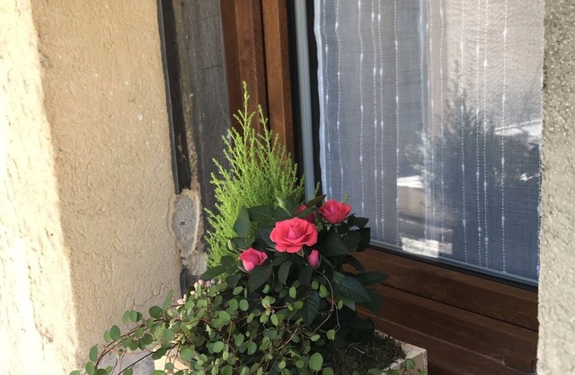 In the shadow of the giant of Provence