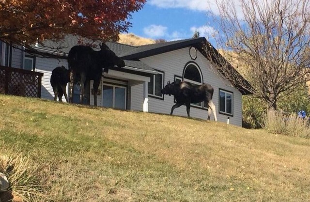 In town Red Lodge property with in home recreation.