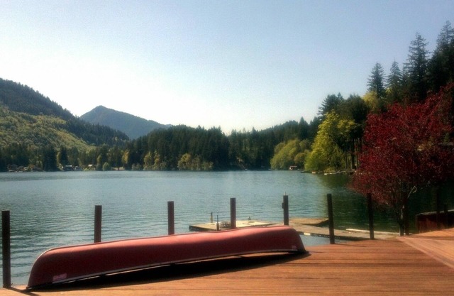 Incredible Waterfront Property on Lake Sutherland. Sunny Side of Lake!