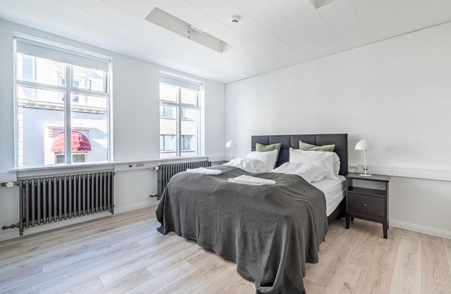 Ingolfsstræti Apartments by Heimaleiga