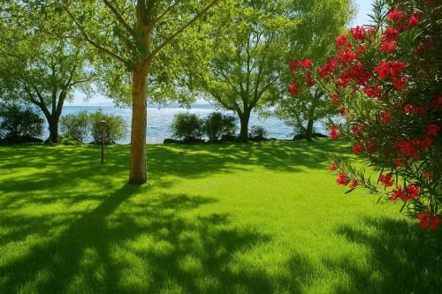 International Glamping Lago Di Bracciano