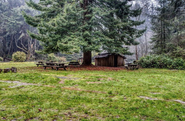 Inviting house w/a quiet yard to relax in & BBQ - close to beaches and redwoods