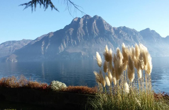 IseoLakeRental - Casa del Pescatore