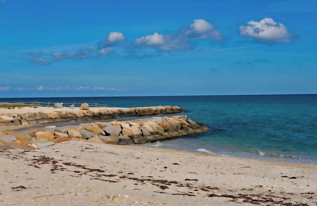 Island Inn - One Bedroom Suite - 8C - Dog-friendly - Oak Bluffs, MA