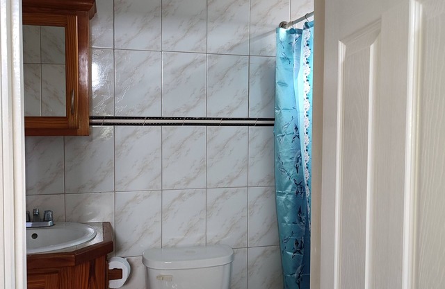 Iso’s Vacation Rental Apartment #10