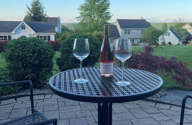 Ithaca Gem- Close to it All. Breathtaking Views!
