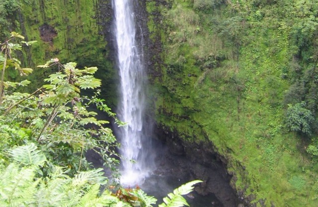 Ixchel Hawaii