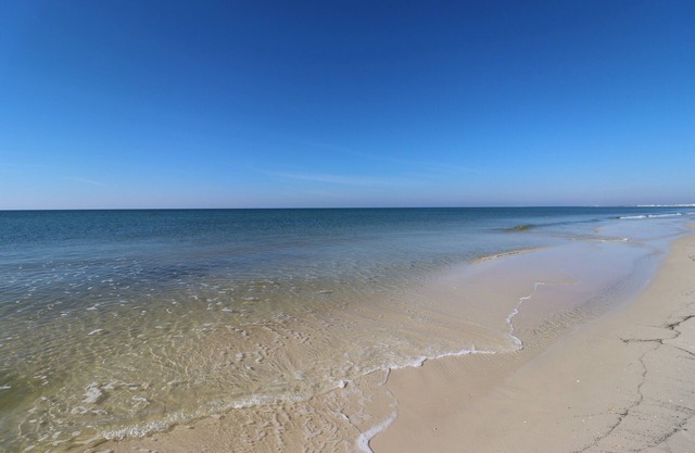 JEWELL COTTAGE IS ADORABLE & AFFORDABLE! CLOSE TO ST JOE BAY!