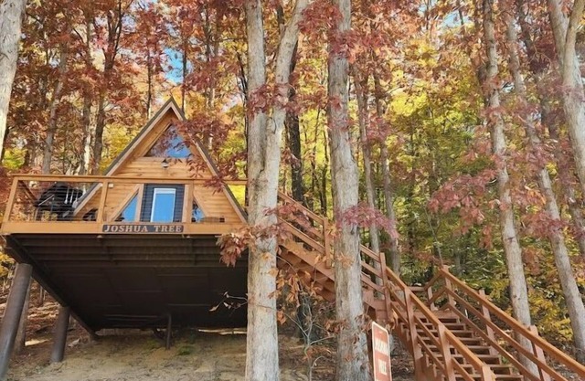 Joshua Tree/Unique Lakeview 4 Person A-Frame Cabin