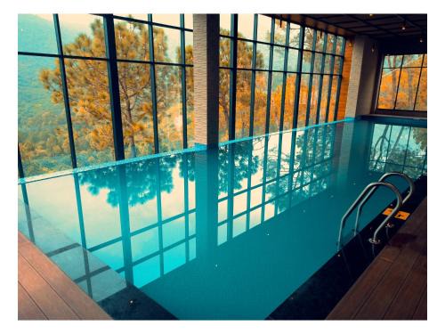 Jungle Lodge Resort