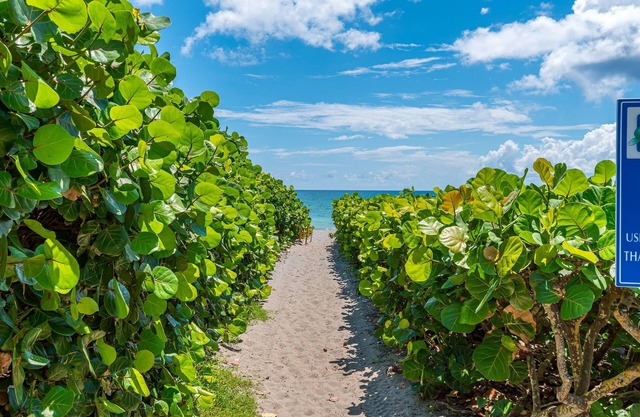 Juno Beach Landings 2 | Local Gem on the Beach!