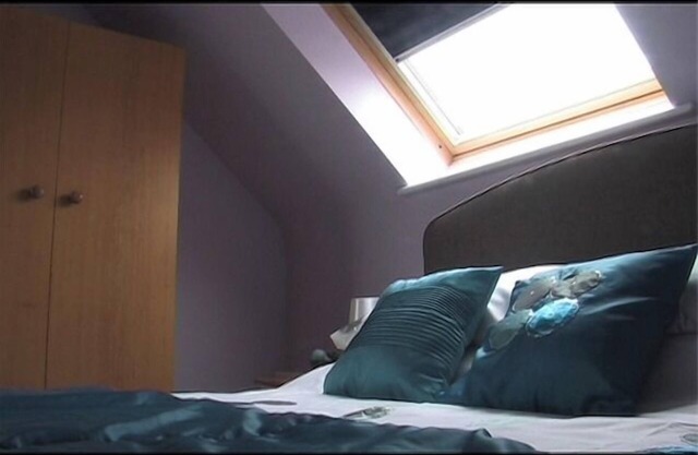 Jurassic Loft Apartment