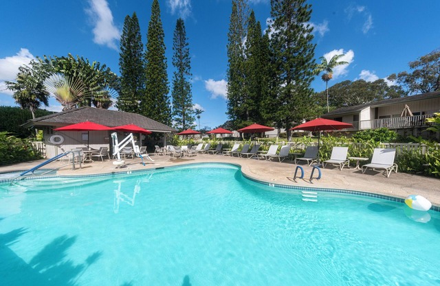 Just What You're Looking For! W/Kitchen, Outdoor Pool, Free Parking!