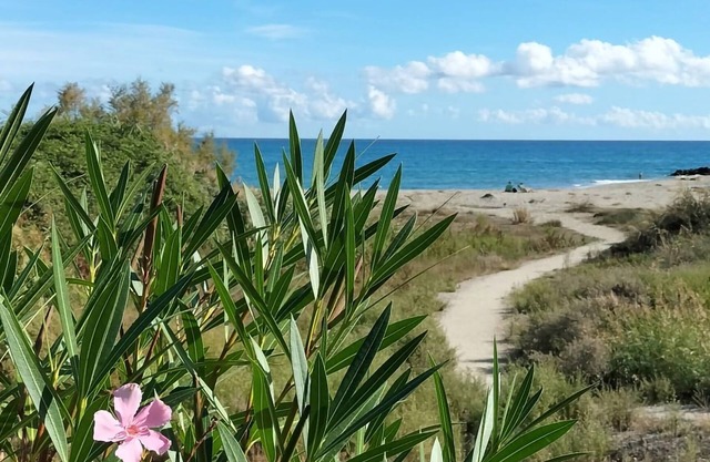 Juste la Plage en Tout Compris
