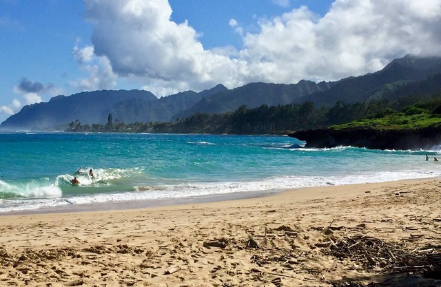 Kama'aina Haven: Beachside Estate w/Private Pool. Sleeps up to 12 Guests!