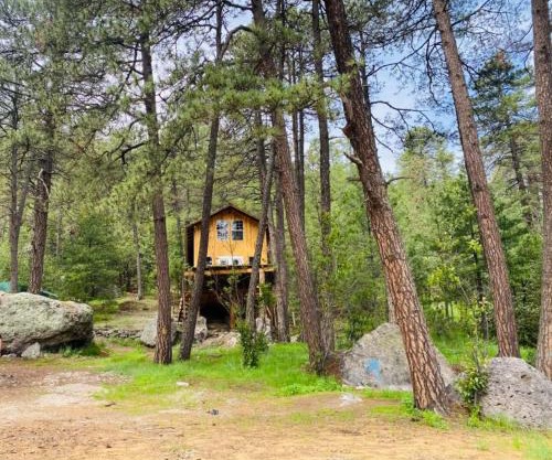 Kari Hillcabins