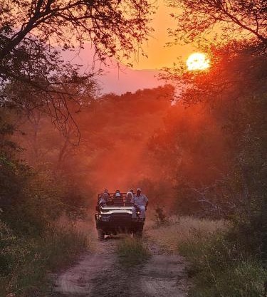 Karongwe - Becks Safari Lodge